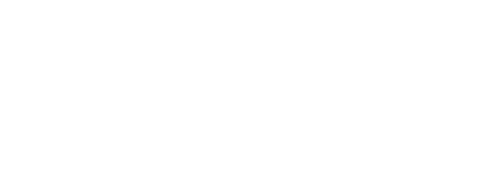 North American Video logo